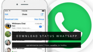 Cara Mudah Download Status WhatsApp