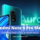 ROM Xiaomi Redmi Note 9 Pro Max