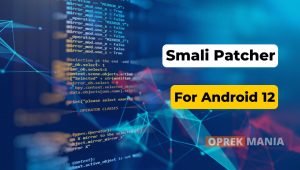 Create Smali Patcher Android 12