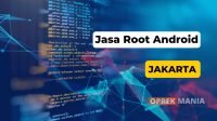 Jasa Root Jakarta Bisa Ditunggu