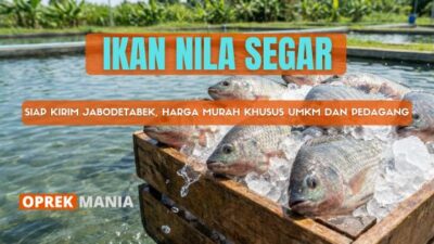 IKAN NILA SEGAR