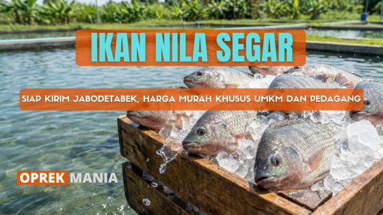 IKAN NILA SEGAR