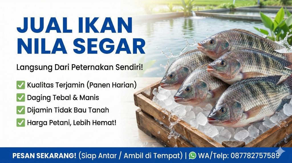 Ikan Nila Segar Pamulang